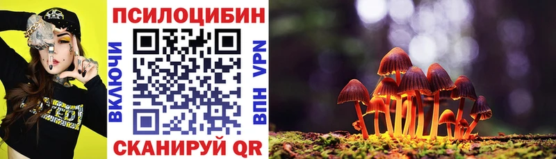 купить наркотик  ссылка на мегу ССЫЛКА  Галлюциногенные грибы Magic Shrooms  Суровикино 